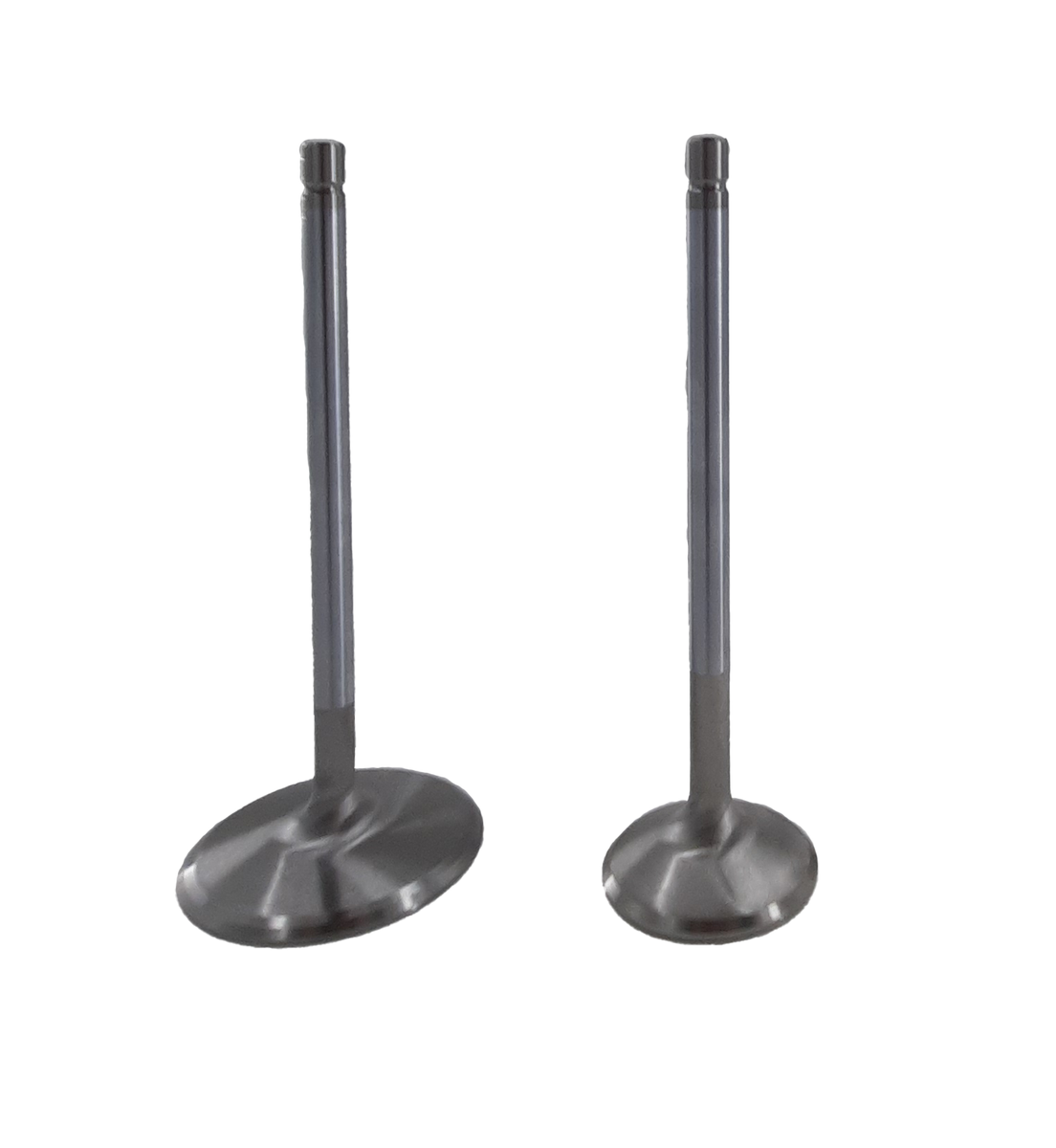 Titanium Intake Valves Magnitude Performance