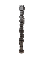 Load image into Gallery viewer, Camshaft &amp; Lockout Gear Package | Godzilla Rodan 0.630/0.659 Lift 232/246 Duration- Lobe Sep 112+0