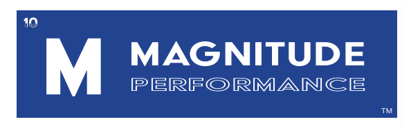 Magnitude Logo Decal