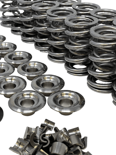 Mast Motorsports Valve Spring Kit LSX Endurance Solid Roller Valve Spring Kit - High RPM & High Lift