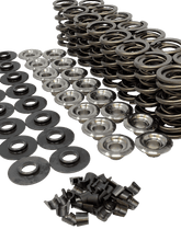 Load image into Gallery viewer, Mast Motorsports Valve Spring Kit Drag Race and Marine 1.525 Valve Spring Kit - Solid Roller LSX