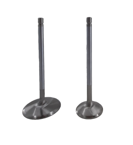 Stainless Steel Exhaust Valves