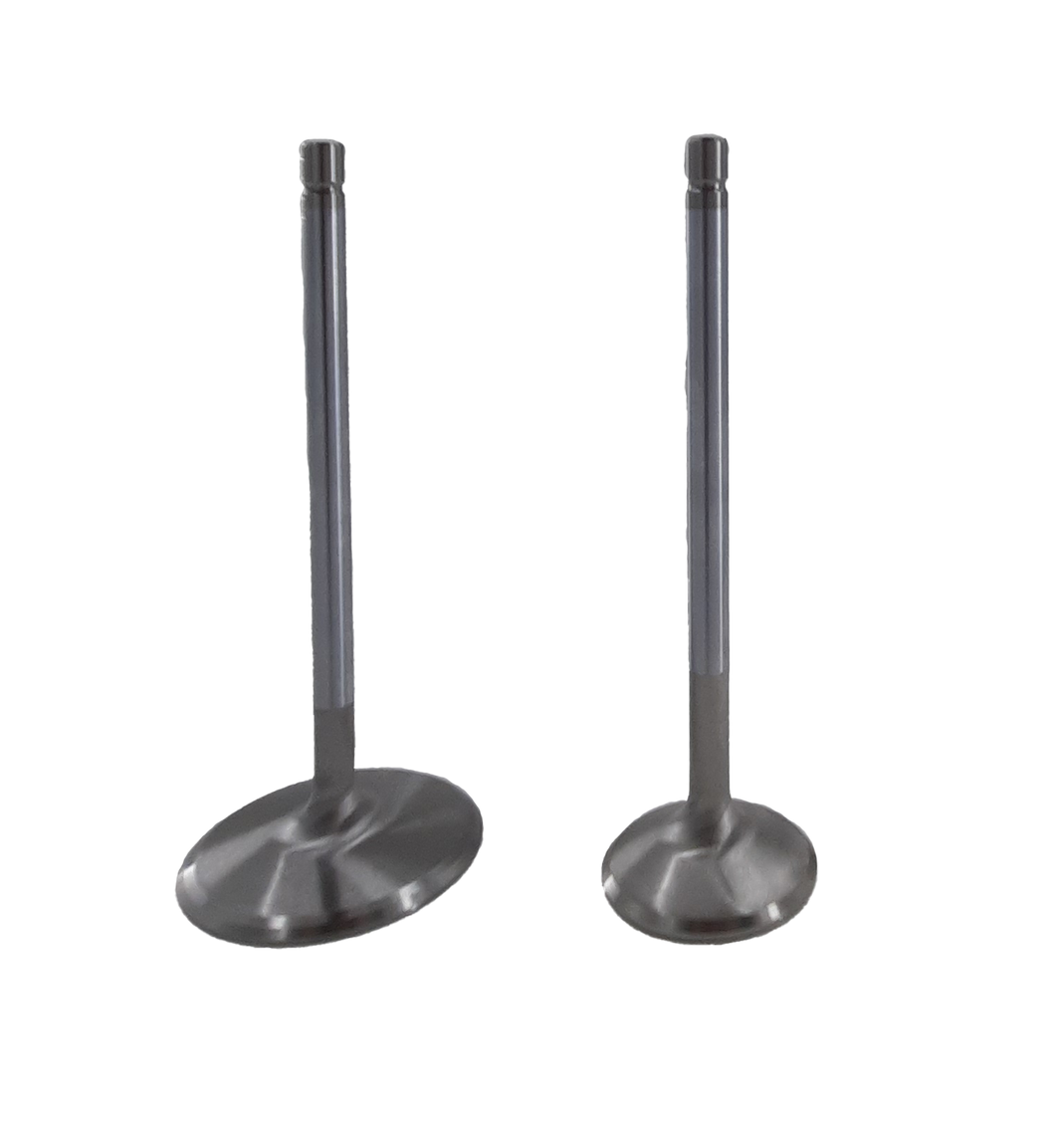 Stainless Steel Exhaust Valves